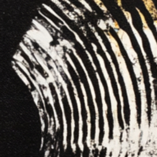 Unseen frequencies thumbnail thumbnail